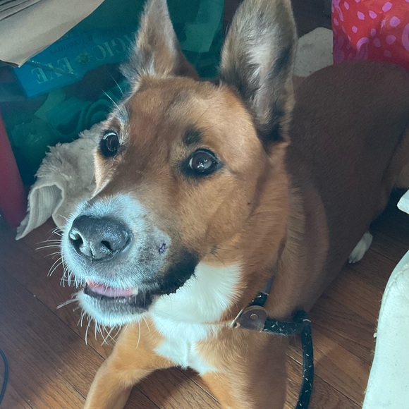 Glass Scripture Frames - Picture 14 of 14